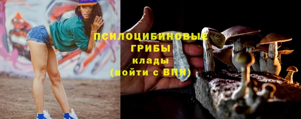 мдпв Ахтубинск