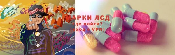 apvp Вяземский