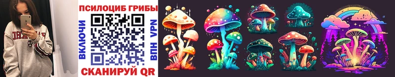 Псилоцибиновые грибы Psilocybine cubensis  нарко площадка клад  Кизел 